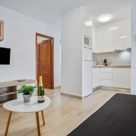 Apartment Precioso Atico Vista Teide Arona (Tenerife)