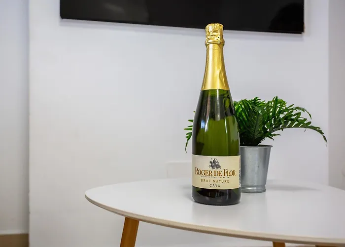 Precioso Atico Vista Teide Apartment *